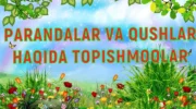 TOPISHMOQ PARANDA