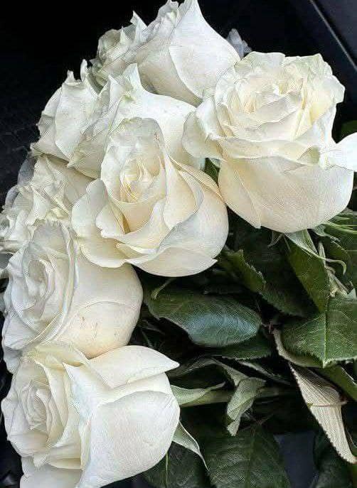 Jinsiy belanchak foydalanish video